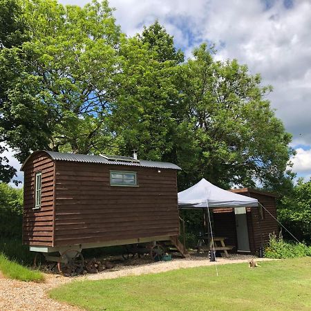 The Shepherds Hut At The Shippen, Tiphayes Гонітон Екстер'єр фото